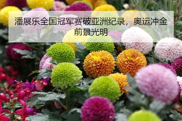 潘展乐全国冠军赛破亚洲纪录，奥运冲金前景光明