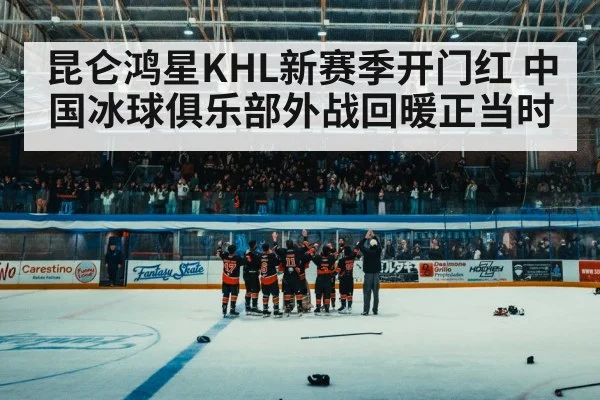 ice hockey arena crowd
